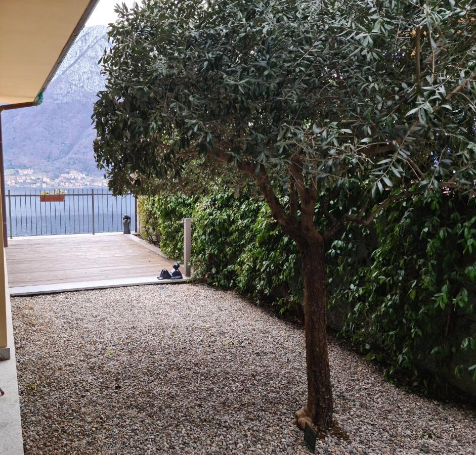 Colonno Panoramica Lago Di Como Exterior photo