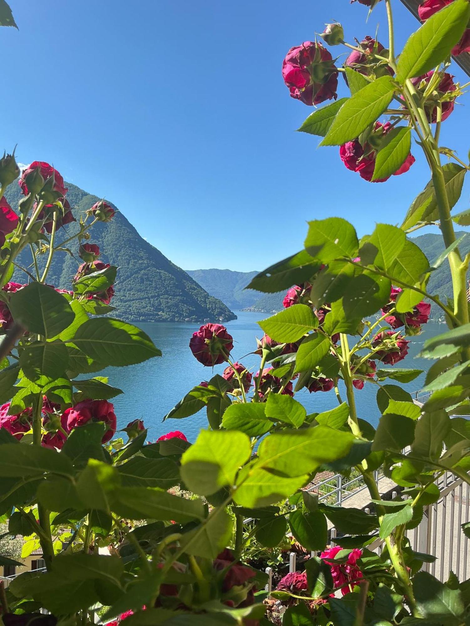 Colonno Panoramica Lago Di Como Exterior photo